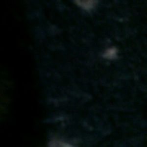 Meet your Posher, Teanie